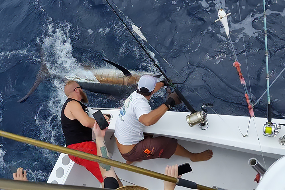 group catching large sailfish on good day team boat costa rica
